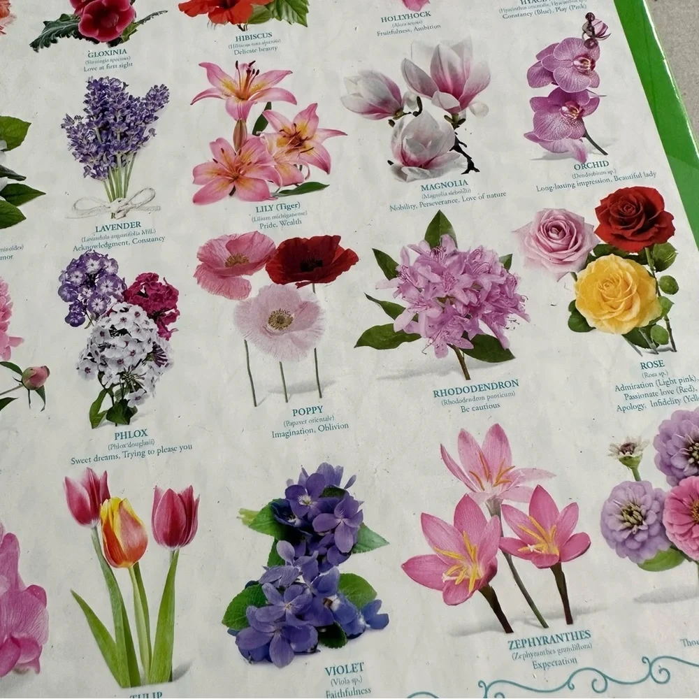 EUROGRAPHICS 1000pc The Language of Flowers Puzzle